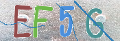 キャプチャ画像